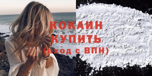 амф Бородино