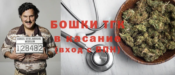 амф Бородино