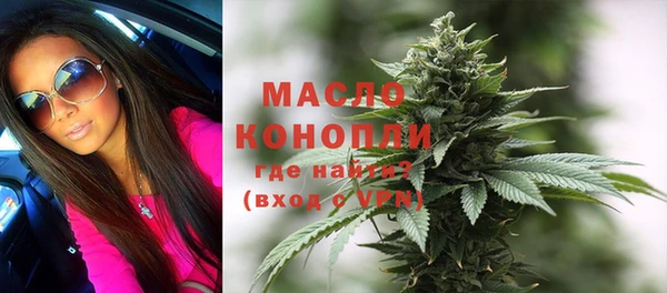 амф Бородино