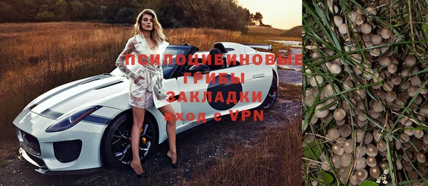 бошки Бугульма